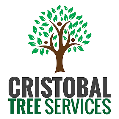 Cristobal Tree Services LLC - Indianapolis | Local Services | Logo
