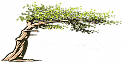 Bristlecone Lodge - Woodland Park | Local Services | Logo