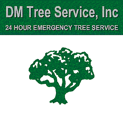 D M Tree Service Inc - Des Plaines | Local Services | Logo