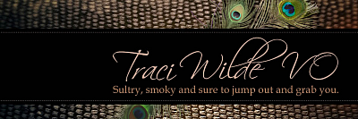 Traci Wilde Voiceovers - Hermitage | Professional Services | Logo