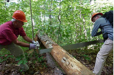 Jef R Maintenance and Tree Service - Redford | Local Services | Logo