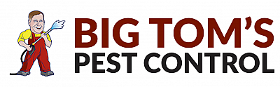 btp - Saint George | Professional Services | Logo