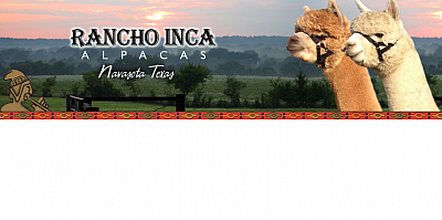 Rancho Inca Alpacas - Navasota | House & Garden | Logo