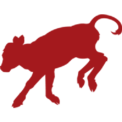 Red Calf Apparel & Promotions - West Plains | B2B Services | Logo