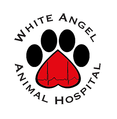 White Angel Animal Hospital - Lakeway | Professional Services | Logo