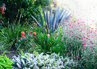 Walter Royal Fouts Landscaping Company - Monrovia | House & Garden | Logo