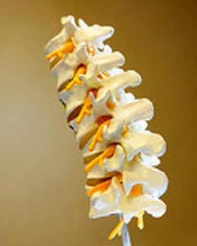 Landon Chiropractic Health Center - Inman | Doctors & Clinics | Logo