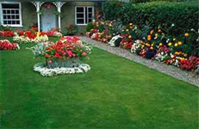 Antonio's Lawn Mowing Services - Pasco | House & Garden | Logo