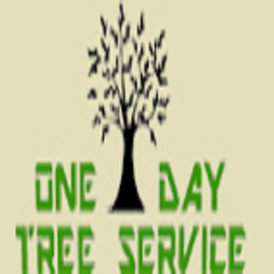 One Day Tree and Landscape Inc. - Highland Park | Local Services | Logo