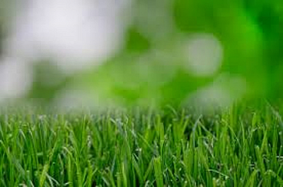 Green Earth Lawn Care LLC - Durham | House & Garden | Logo