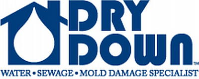 Dry Down Inc. - Inglewood | Local Services | Logo