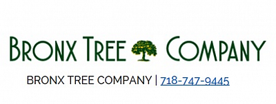 Bronx Tree Company - Bronx | Local Services | Logo
