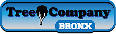 Tree Company Bronx - Bronx | Local Services | Logo