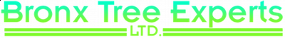 Bronx Tree Experts LTD - Bronx | Local Services | Logo