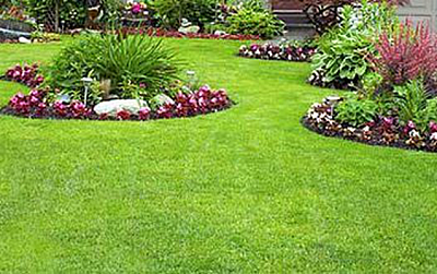 Affordable 1 Lawn Service, Inc - Saint Simons Island | House & Garden | Logo