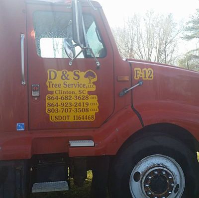 D & S Tree Service LLC - Clinton | House & Garden | Logo