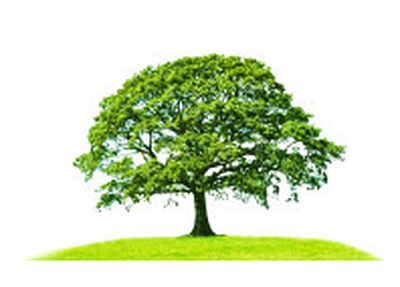 Cherrywood Landscaping - Santa Clara | House & Garden | Logo