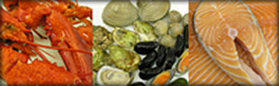 Bayou Caddy Fisheries & Ice - Bay Saint Louis | Food Retail & Grocery | Logo