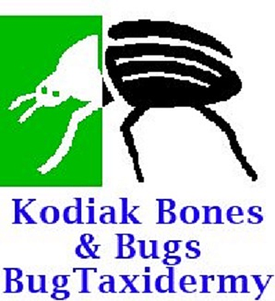 Kodiak Bones & Bugs Taxidermy - Lyle | Local Services | Logo