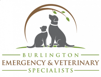Burlington Emergency & Veterinary Specialists - Williston | Professional Services | Logo