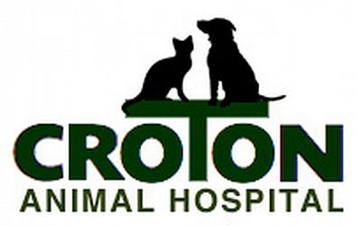 Croton Animal Hospital - Croton On Hudson | Professional Services | Logo