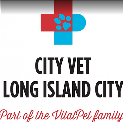 VitalPet - City Vet - Long Island City | Pets | Logo