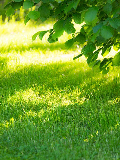 Prestige Lawn Service - Hoover | House & Garden | Logo