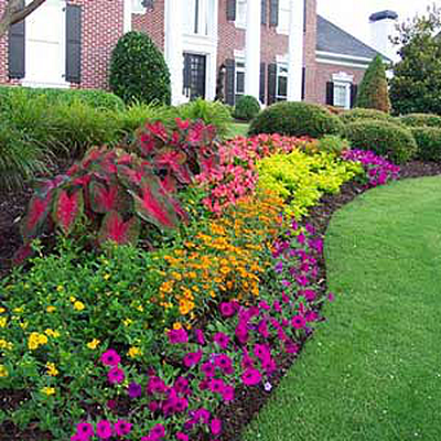 MGM Landscape LLC - West Palm Beach | House & Garden | Logo
