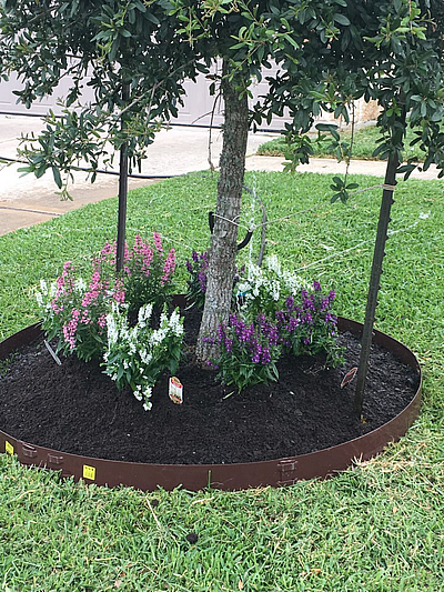 Bananas Green Landscaping - Houston | House & Garden | Logo