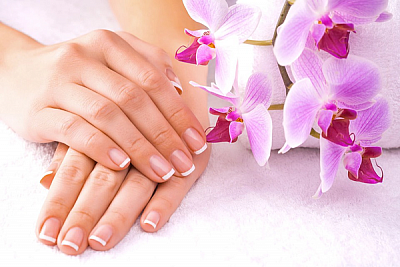 Base Coat Nails and Spa - Harrisburg | Salons & Nails | Logo