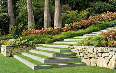 Crested Landscapes & Designs - Virginia Beach | House & Garden | Logo