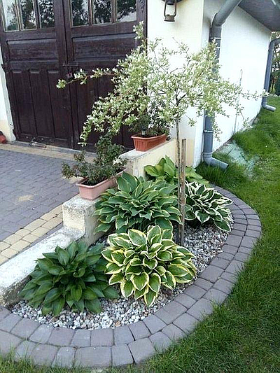 Arturo Landscaping LLC - Somers Point | House & Garden | Logo