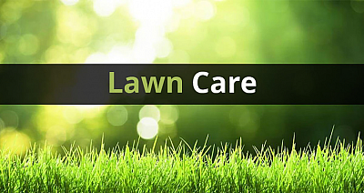 Queens of Clean & Kings of Lawn Care, LLC - Durham | House & Garden | Logo