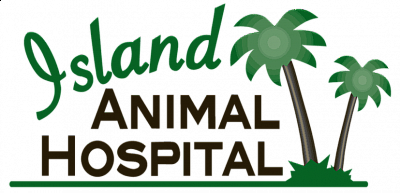 Island Animal Hospital in Viera - Rockledge | Pets | Logo