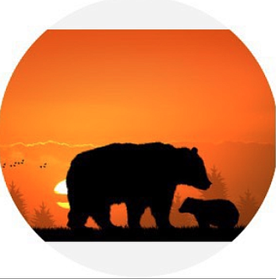Drop In Mama Bear Childcare LLC - Bozeman | Baby & Kids | Logo