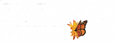 Big Butterfly Promos - Manchester Center | B2B Services | Logo