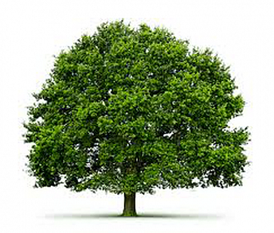 UNITY Tree Service - Lumberton | House & Garden | Logo