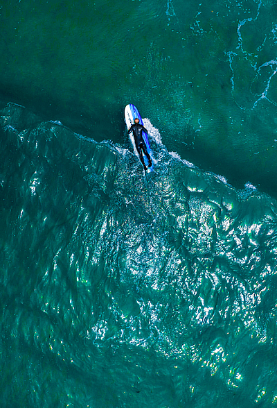 Bean Me Up - Chicago - Chicago | Pets | Logo