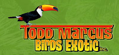 Todd Marcus Birds Exotic - Delran | Pets | Logo