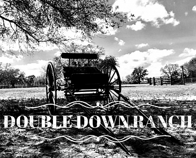 Double Down Ranch - New Port Richey | Sporting Goods | Logo