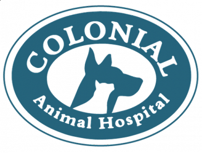 Colonial Animal Hospital - Boynton Beach | Pets | Logo