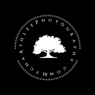 Mycha Ashlee Photography - Saint Robert | Professional Services | Logo