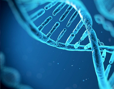 Genetics Testing - Philadelphia | Classes & Lessons | Logo