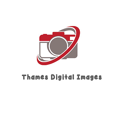 Thames Digital Images - Lagrange | Professional Services | Logo