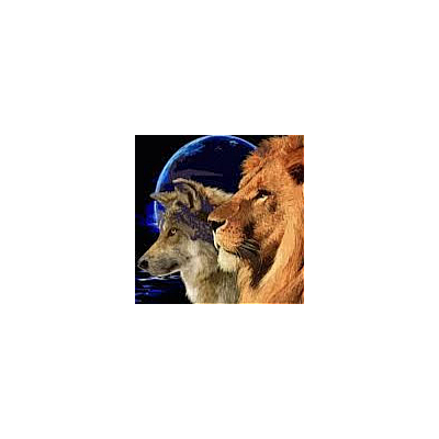 Lionheart & BlueWolf - New Bedford | Retail | Logo