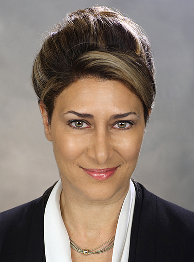 Emel Ersan Law Office - Tampa | Attorneys & Lawyers | Logo