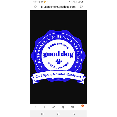Cold Spring Mountain Retrievers - Chuckey | Retail | Logo