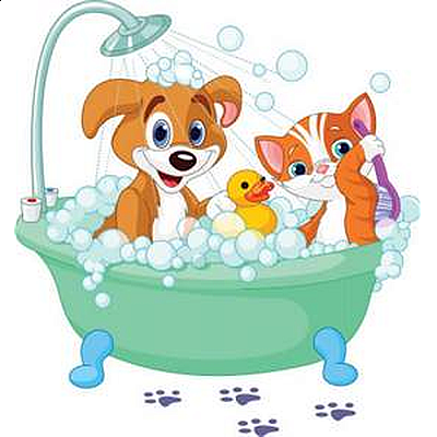 Top Notch Grooming Salon - Reisterstown | Pets | Logo