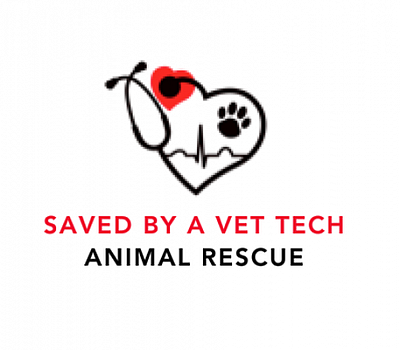 SAVED BY A VET TECH RESCUE INC - Lincoln Park | Pets | Logo