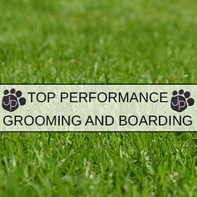 Top Performance Grooming - Kingsport | Pets | Logo